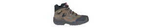Bota cofra
